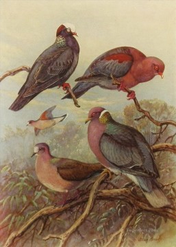 鳥 Painting - オウム鳥